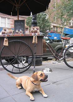 Dog Town Bites Cart with Doggie in West Village